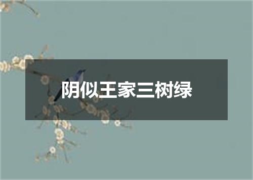 阴似王家三树绿