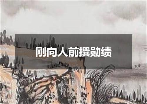 刚向人前撰勋绩