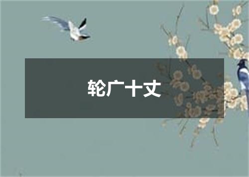 轮广十丈