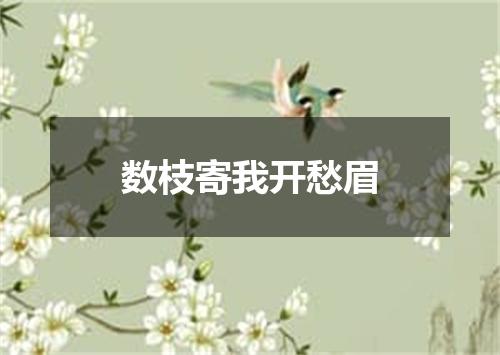 数枝寄我开愁眉