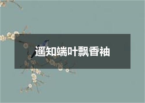 遥知端叶飘香袖