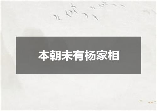 本朝未有杨家相