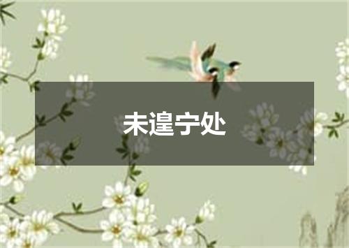 未遑宁处