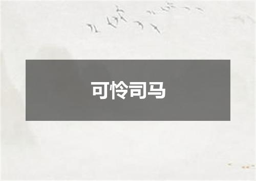 可怜司马