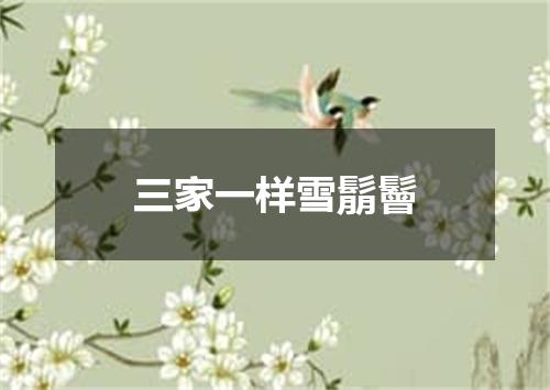 三家一样雪鬅鬙