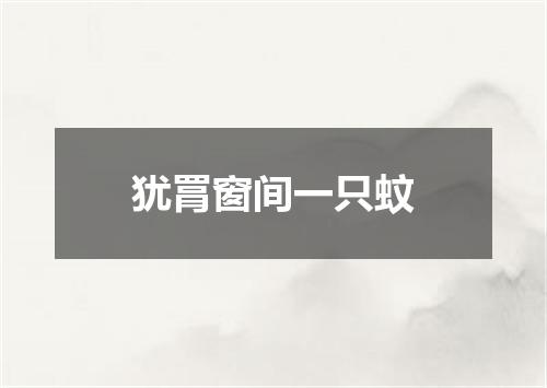 犹罥窗间一只蚊