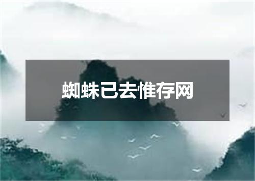 蜘蛛已去惟存网