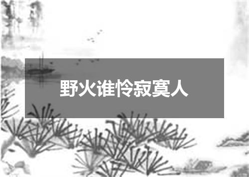 野火谁怜寂寞人