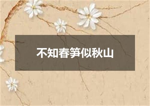 不知春笋似秋山