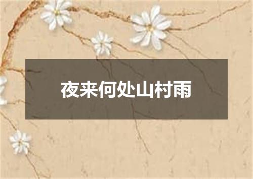 夜来何处山村雨