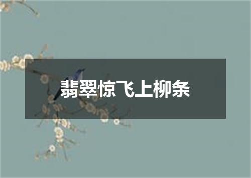 翡翠惊飞上柳条