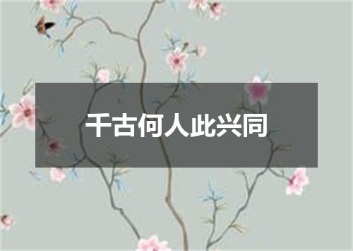 千古何人此兴同