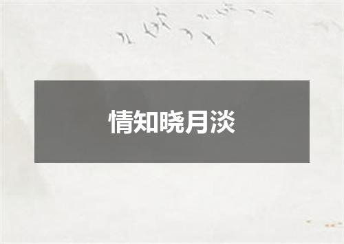情知晓月淡