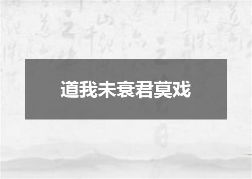 道我未衰君莫戏