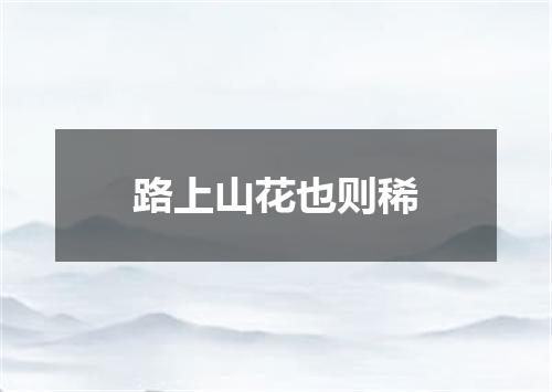 路上山花也则稀
