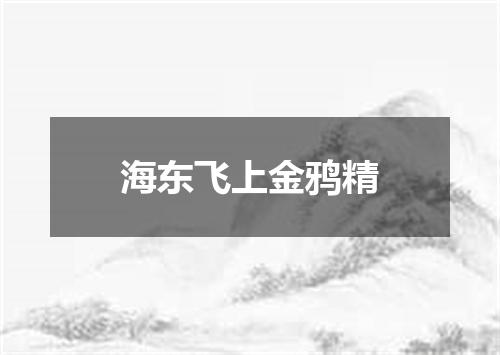 海东飞上金鸦精