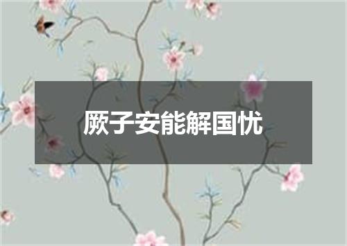 厥子安能解国忧