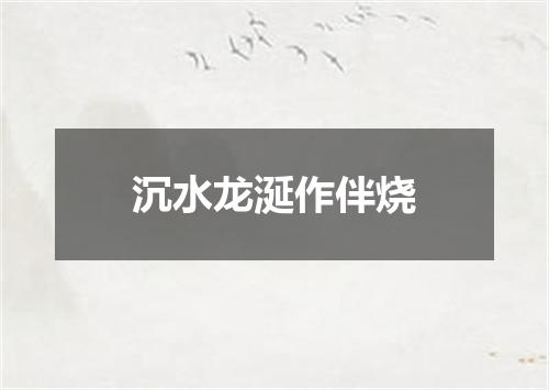 沉水龙涎作伴烧
