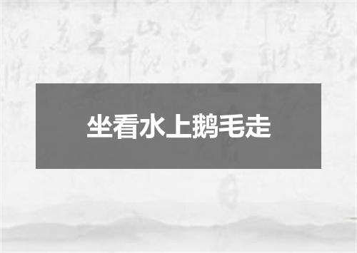 坐看水上鹅毛走