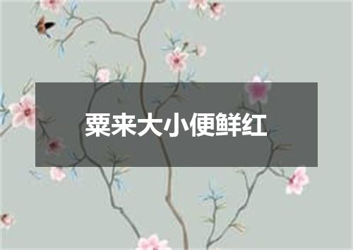 粟来大小便鲜红