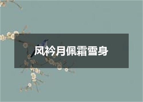风衿月佩霜雪身