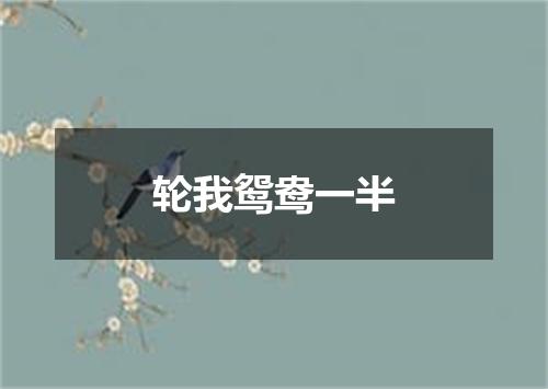 轮我鸳鸯一半