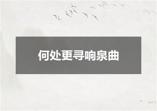 何处更寻响泉曲