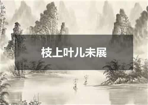 枝上叶儿未展