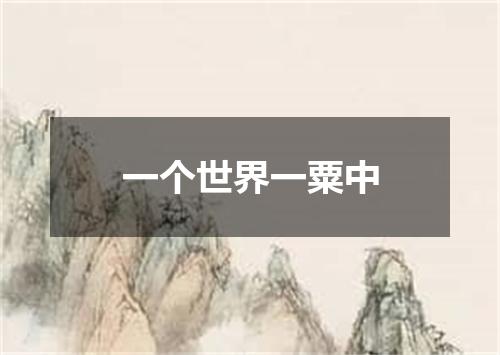 一个世界一粟中