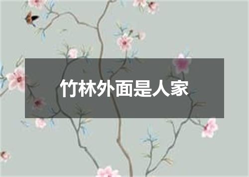 竹林外面是人家