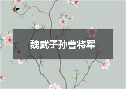 魏武子孙曹将军