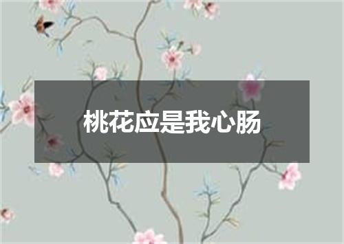 桃花应是我心肠