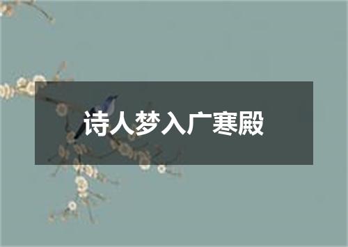 诗人梦入广寒殿