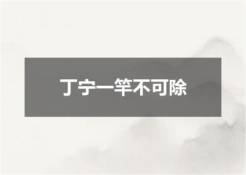 丁宁一竿不可除