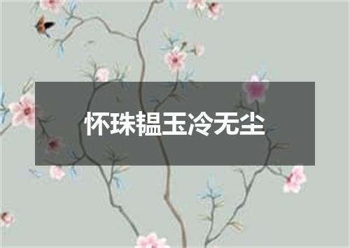怀珠韫玉冷无尘