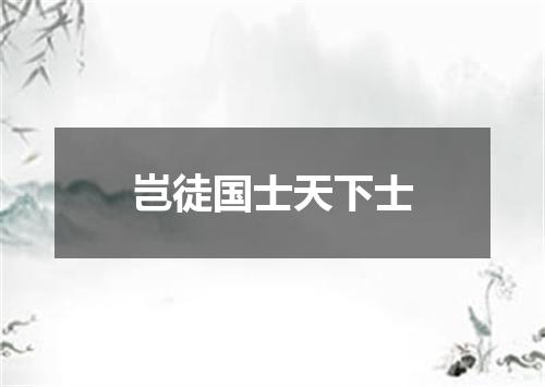 岂徒国士天下士