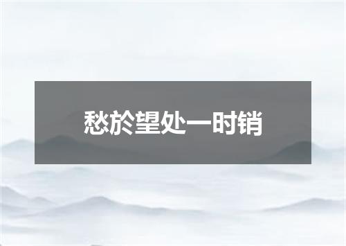 愁於望处一时销