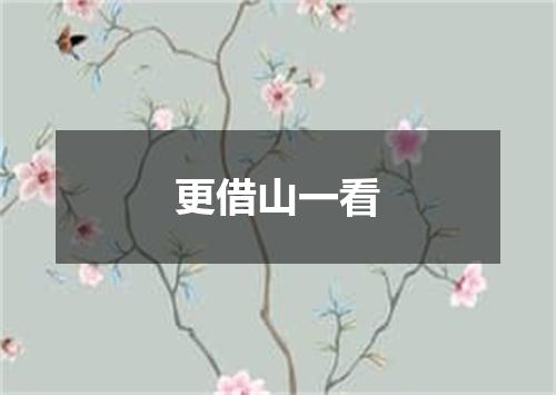 更借山一看