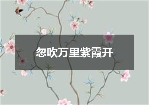 忽吹万里紫霞开