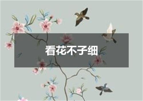 看花不子细