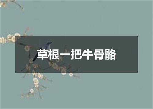 草根一把牛骨骼