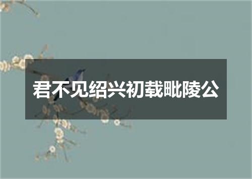 君不见绍兴初载毗陵公