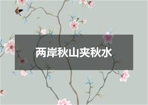 两岸秋山夹秋水