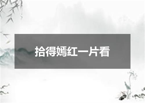 拾得嫣红一片看