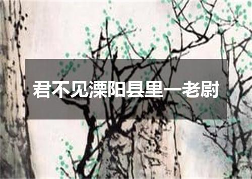 君不见溧阳县里一老尉