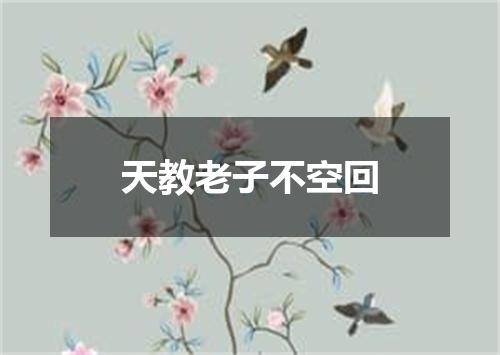 天教老子不空回