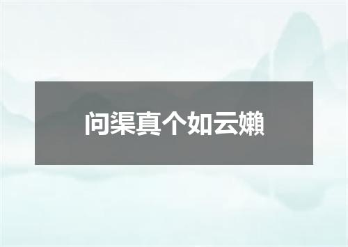 问渠真个如云嬾
