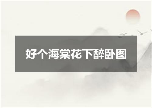 好个海棠花下醉卧图