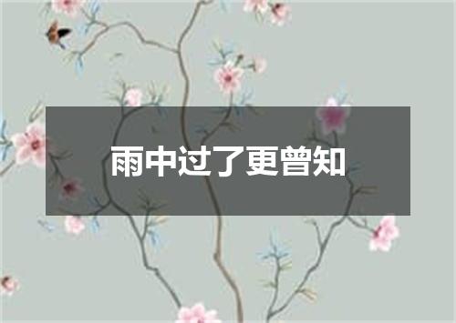 雨中过了更曾知