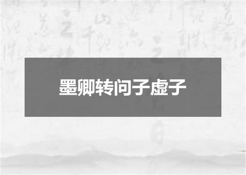 墨卿转问子虚子